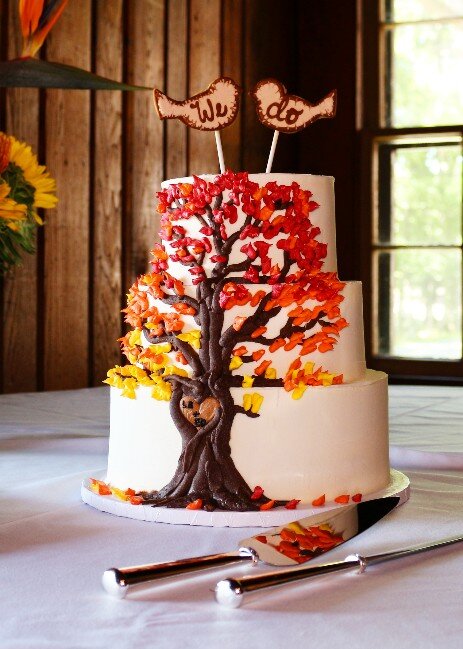 Virginia's best custom wedding cakes, farm to table dessert table & dessert grazing table  | luray, charlottesville, loudoun county, culpeper, harrisonburg, northern virginia 